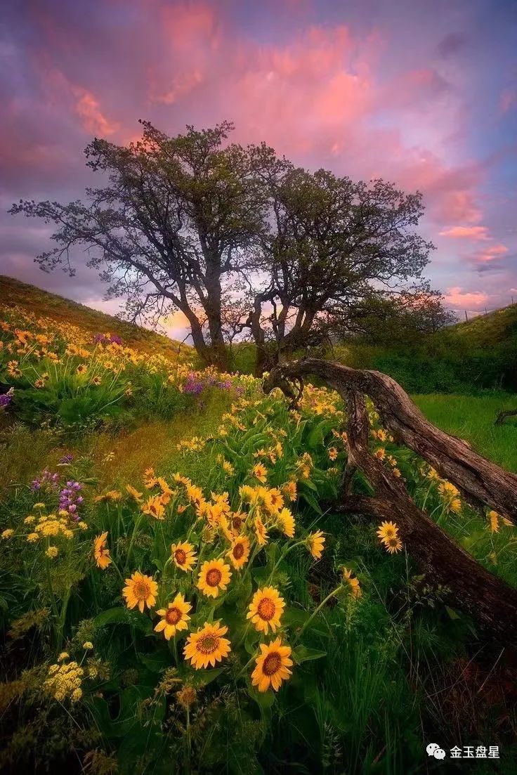 运势|10月下旬水逆期间，五大星座红鸾星动，余情未了，破镜重圆