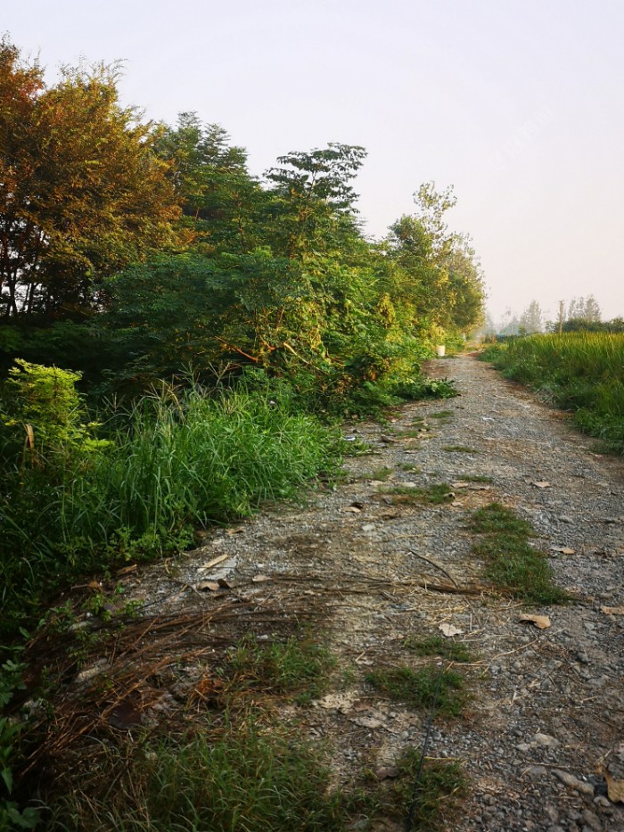 医生|许久末玩，甚是惨淡