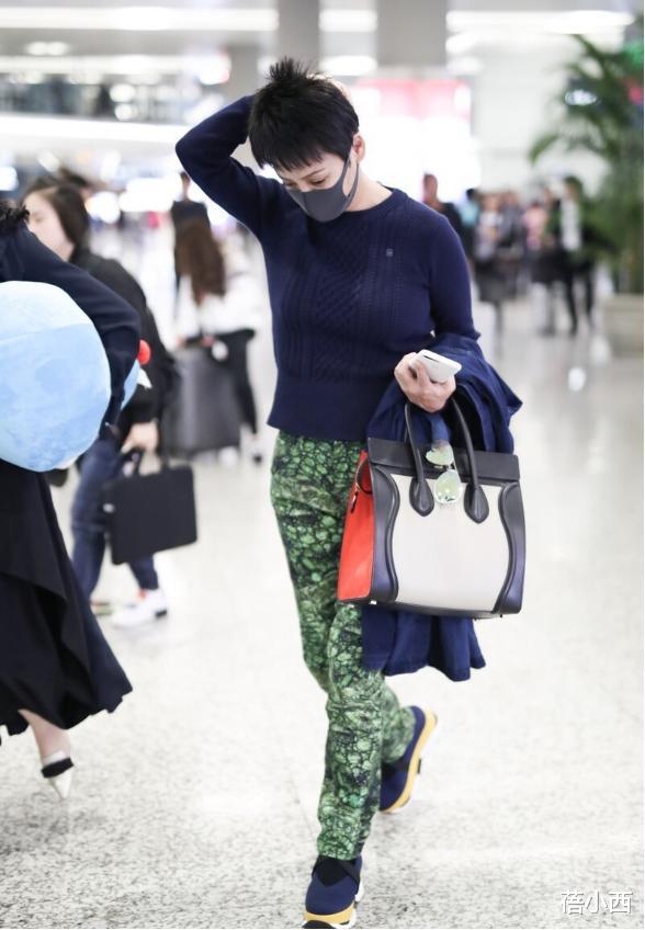 穿衣搭配|宁静穿搭毫无顾忌，“蜥蜴裤”也就她穿得时髦，配毛衣也没土味