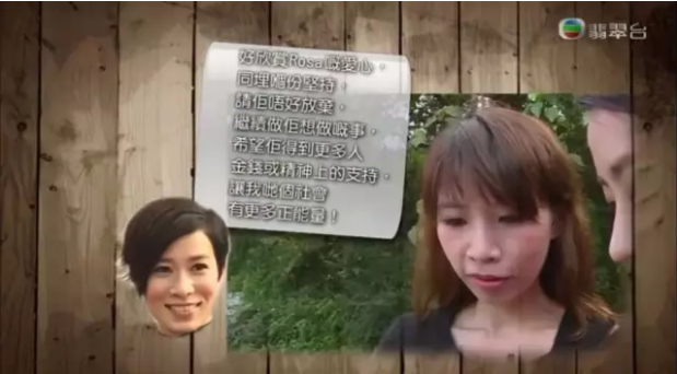 你好吴所畏|人设坍塌！玉林救狗华裔“英雄”牟利百万潜逃美国，还把小狗活活烧死