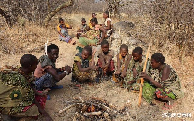 基因|黑人为何没有进化出勤劳的基因呢?