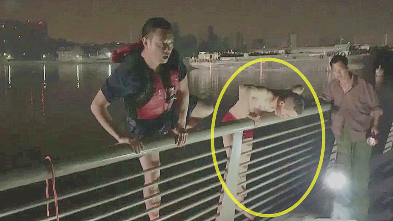 「宁波」好样的！宁波女子凌晨失足落水，外卖小哥横渡千米江面救人