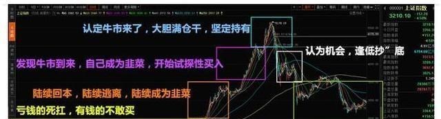 牛市|中国股市：大家都在喊大牛市来了，为啥散户一进场股市就大跌了？