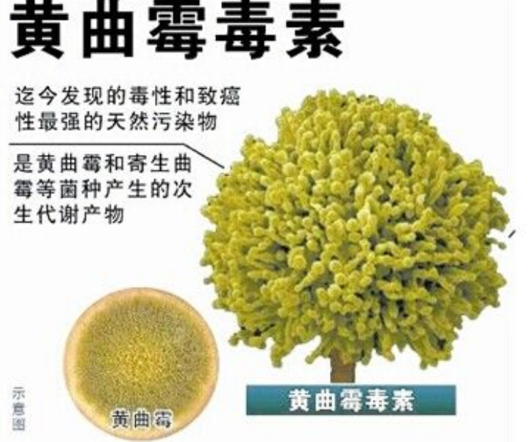 中毒|9人聚餐中毒7人死亡，期间食用自制酸汤子，已在冰箱冷冻一年
