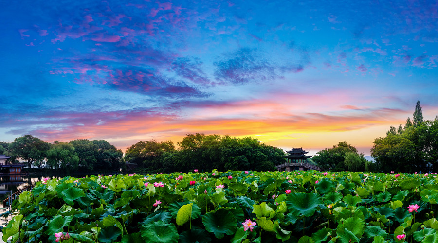 『运势』算命师傅：6月一到，喜事不断，财运攀升，再也不挨穷的属相