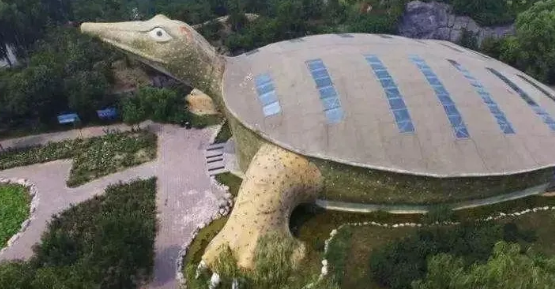 武隆|重庆武隆的“飞天之吻”火了？网友：画风太搞笑！