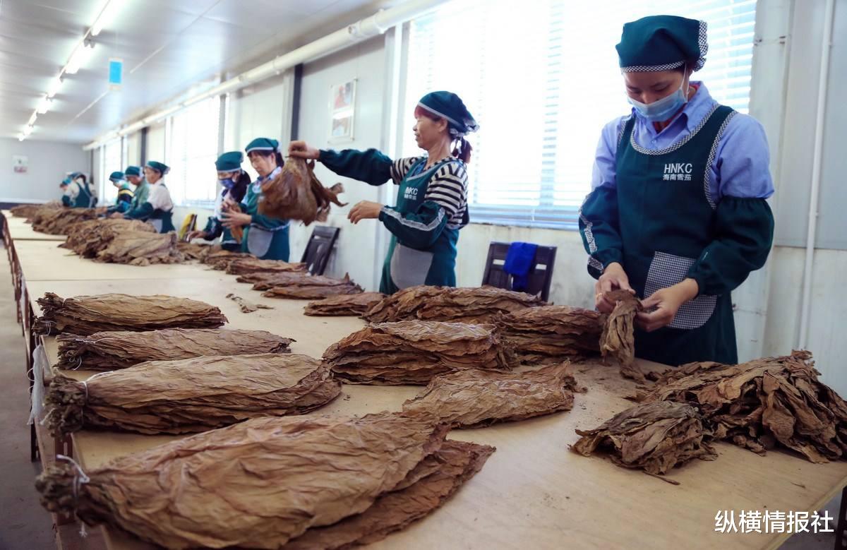 波音公司|比中国烟草还赚钱，日赚2亿拿下全球一半市场，一年订单要6年完成