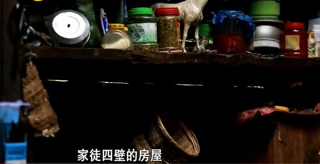 梁小友|《变形计》“神仙妹妹”梁小友高二辍学后成网红，浓妆直播惹众议