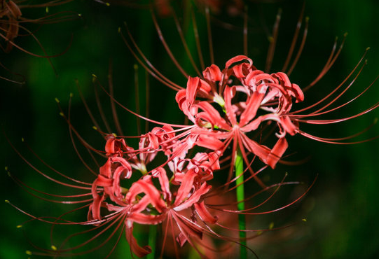 『运势』到了7月，4属相成绩出色，伯乐提携，财运亨通，运势节节攀升