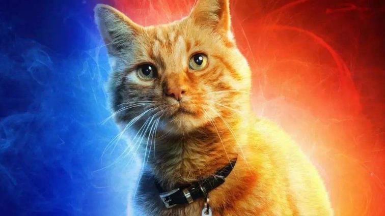 「漫威」漫威最凶猛的生物:不是惊队的橘猫,而是号称“钢铁龙王”的它!