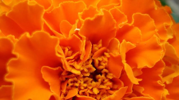 天蝎座|8月,贵人频频来相助,财神下凡送金银,福运萦绕的3大生肖