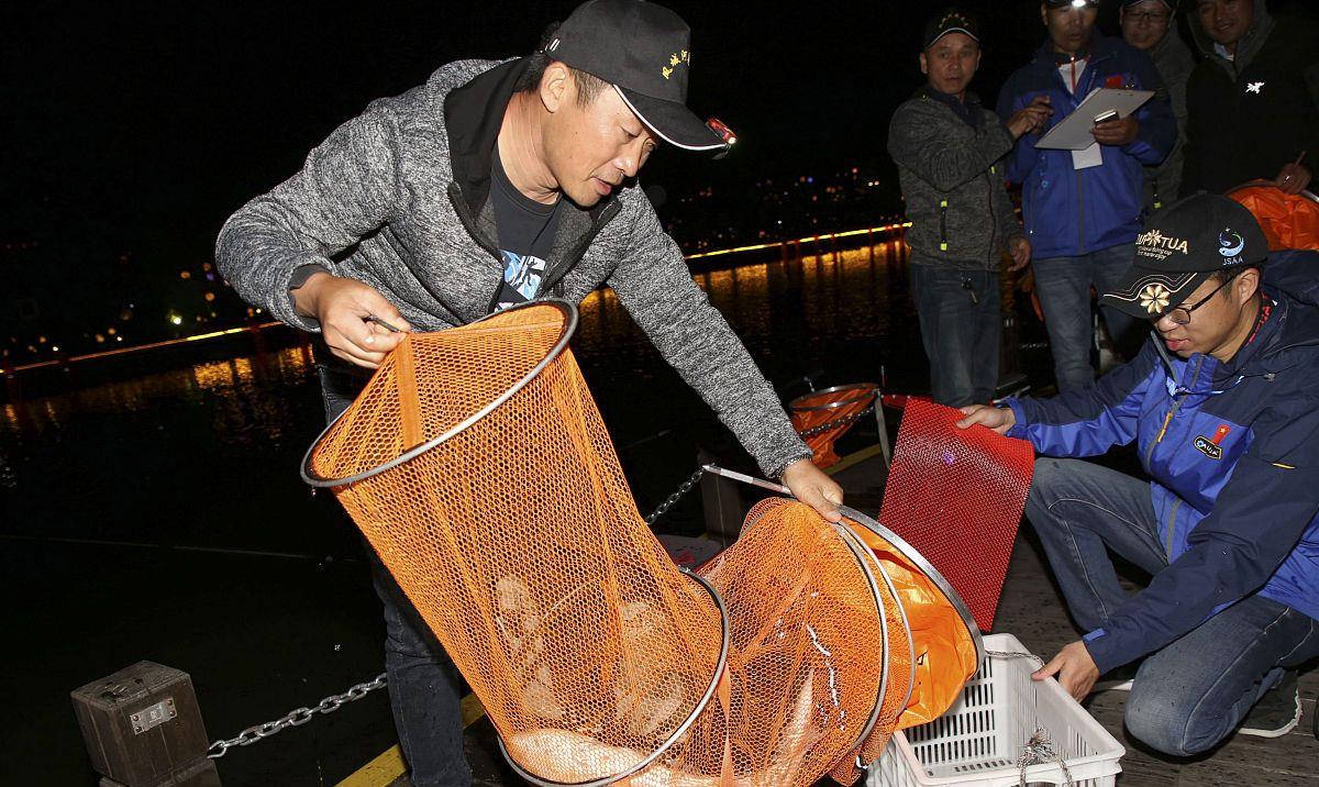饵料|晚秋夜钓鲫鱼用饵3个思路,虽然老生常谈,但是可以做个参考