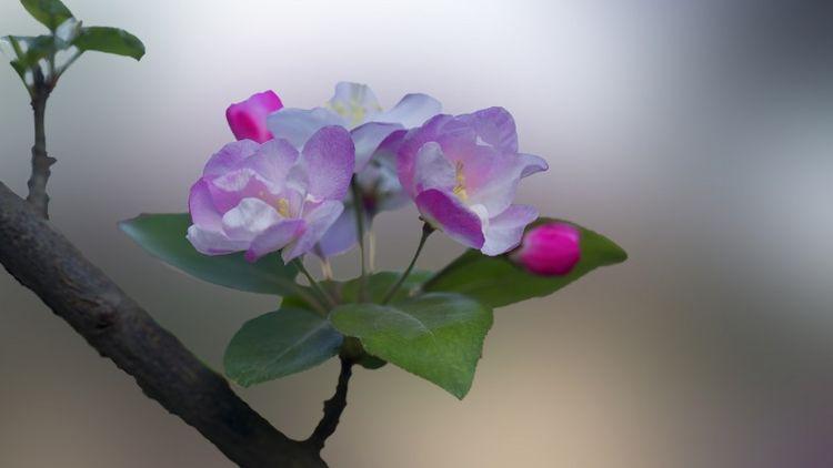 运势|8月开始喜遇“开门红”，财帛如雨，家门兴旺的四大生肖