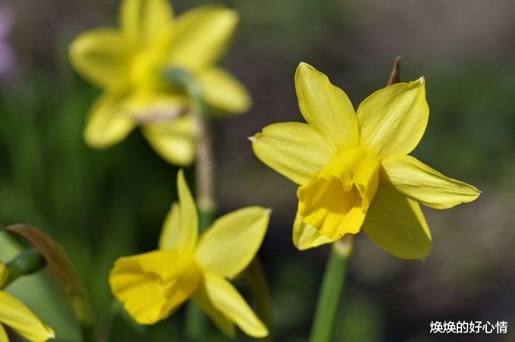 生肖|9月开始，余生有你，满心欢喜，4生肖与真爱不期而遇，情定一生