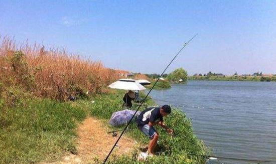 @野钓鲤草,找对位置了,渔获自然也就没问题了