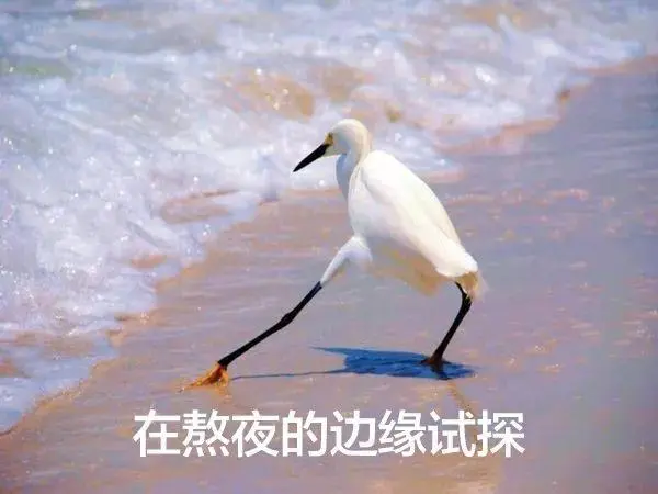 唐艺昕@李佳琦亏损百万，从直播间消失：生活留给成年人的，只有6小时