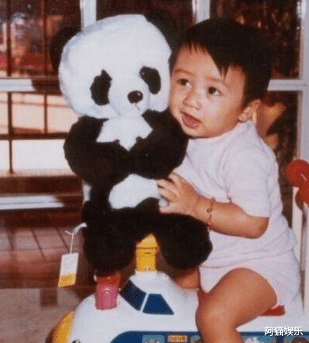 [张柏芝]谁说张柏芝三胎是混血，颜值不高？“小王子”正面视频曝光，看看像谁？