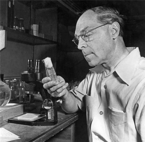 黑猩猩|苏联科学家为研究人猿杂交，花重金请5名女性，实验最后却悲剧了