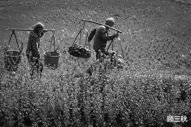 [八路军]70多年前，一农妇曾借给八路军7000斤小米，最后结局如何？