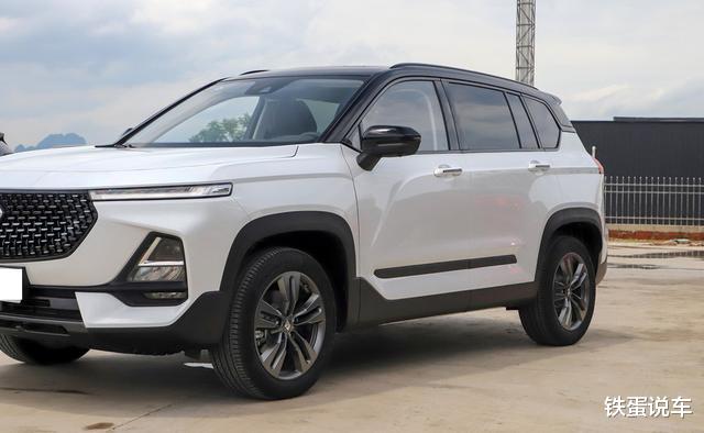 wey|家里经济有限，只能选10万级SUV，这三款车大件稳定省油省心