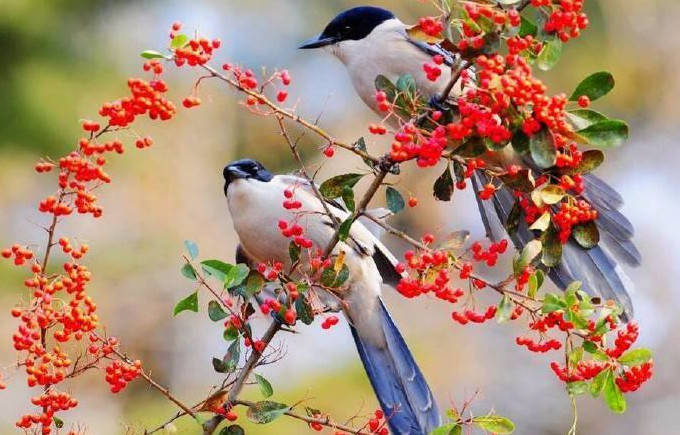 「财星高照」7月下旬就是这三生肖财运连连，财星高照，大发财运之时