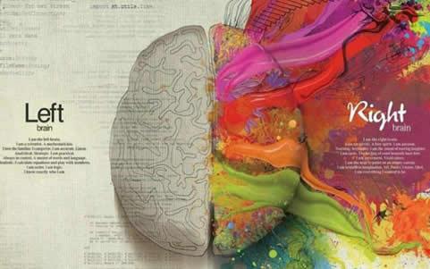 科学家|人类大脑十大未解之谜：关于人类的大脑其实很可怕