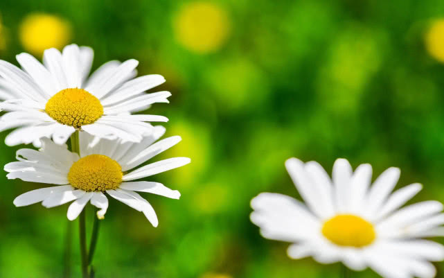 [运势]当十二星座想你时，会有什么表现？双子沉默不语，白羊立刻找你