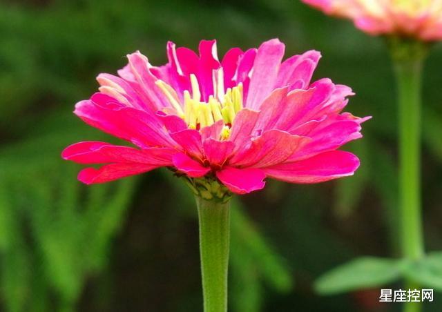 |几月出生的人，心态常年轻，人也显年轻，一辈子是越老越精彩纷呈