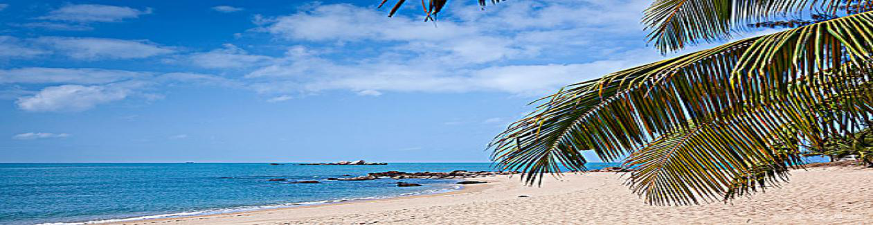 三亚：国内旅游的这些坑一定不要踩。