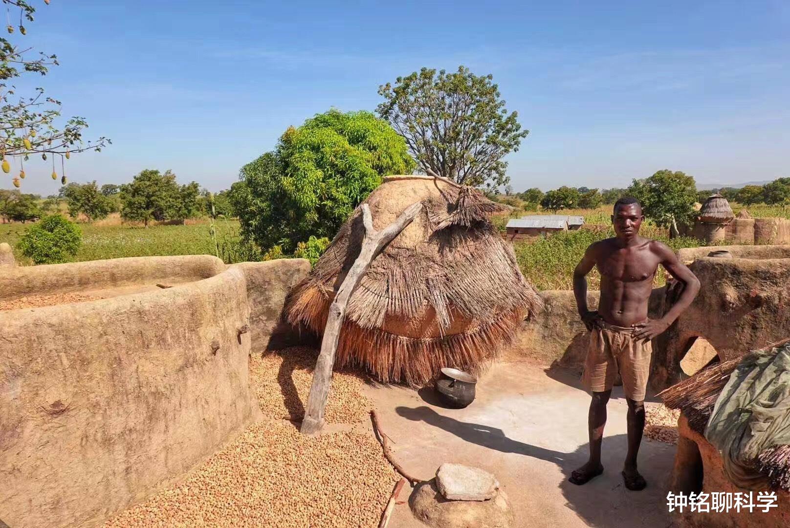 原始森林|原始森林中的“瘴气”，究竟是什么？