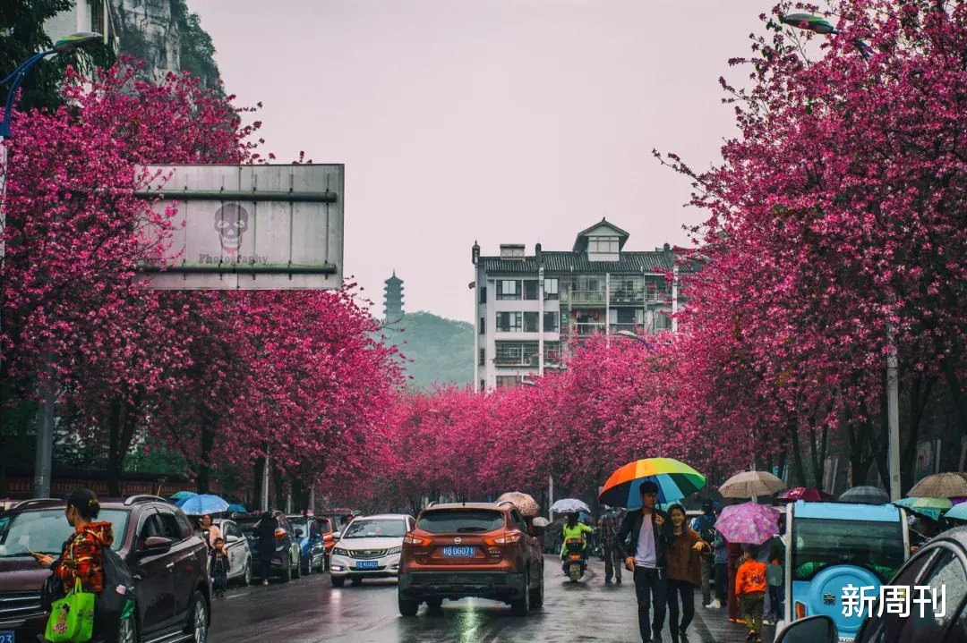 【广西】广西人个个都是人才，说话又好听，真的！