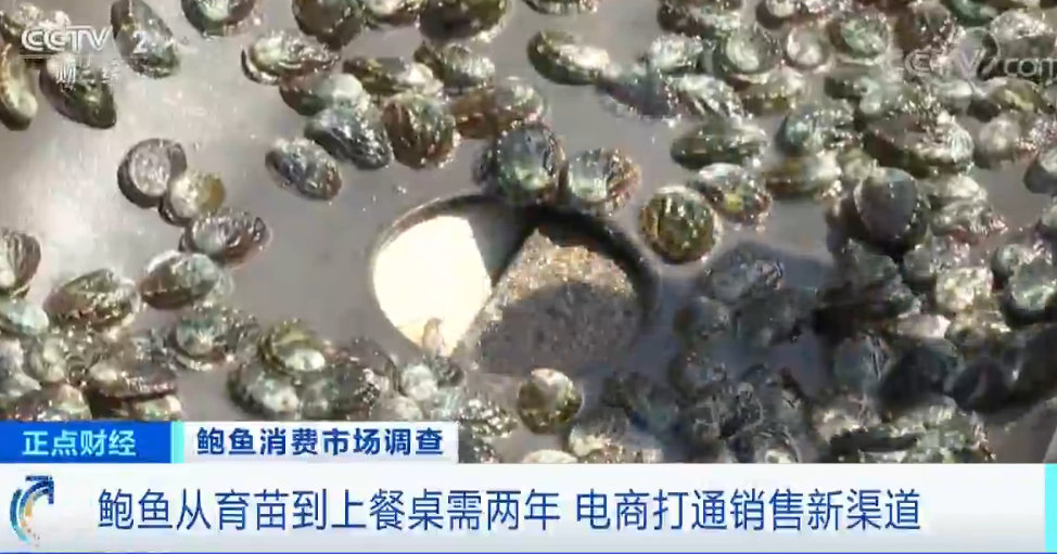 浙样的生活|大跌！一斤只要20元？浙江人爱吃的这菜价格“腰斩”！