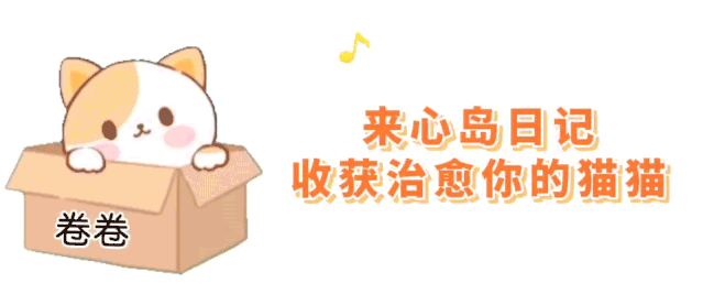 袋鼠|世界上最快乐的动物即将消失了......