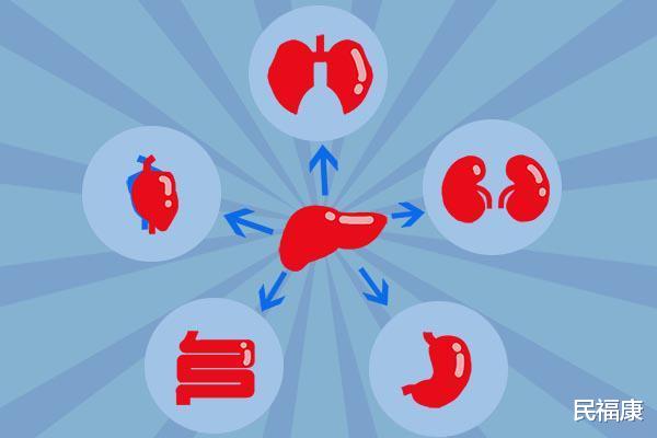 『肝脏』肝脏为什么会纤维化？还能逆转吗？控制肝纤维化能做些什么？