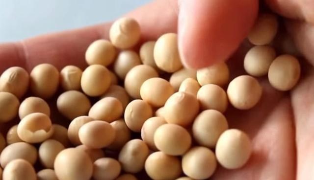 【阿根廷】中国又添“新伙伴”，该国加强对华出口，澳洲再次迎来强劲对手