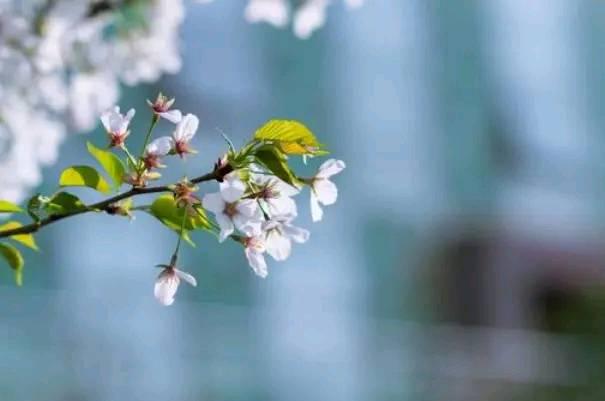 『生肖』这几个生日尾数的人,他们往往比较好运,人品比较好