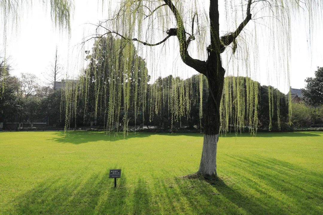 [hpv疫苗]“五一”最高气温可达32-33℃，其中这两天有阵雨或雷阵雨！