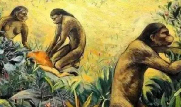 科学家▲地球最初并没有人,那第一个人类从何而来?科学家给出答案
