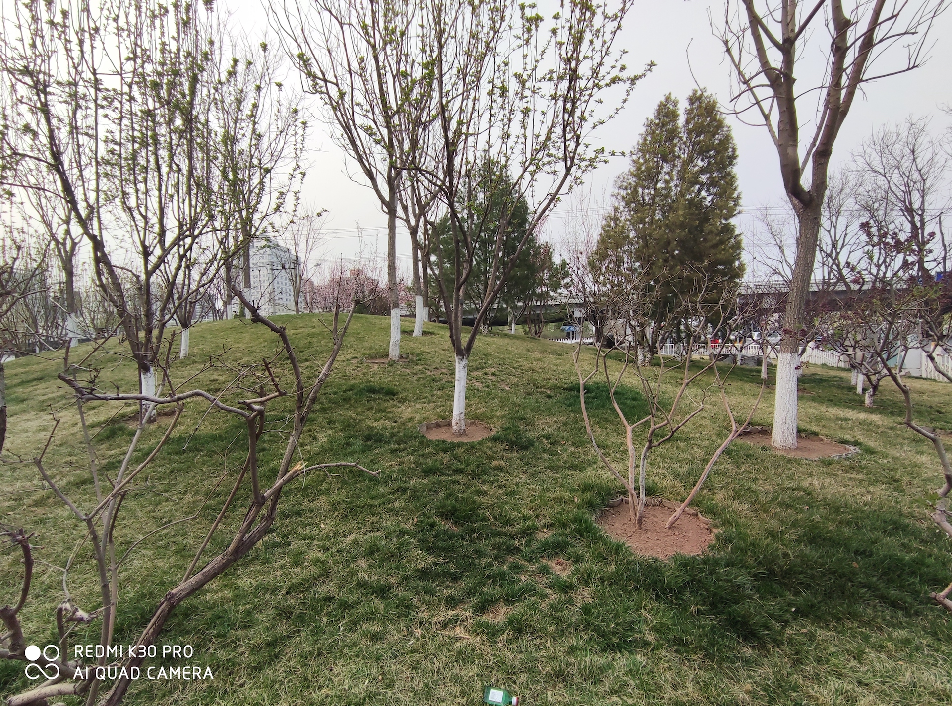 小米科技■红米K30 Pro评测：相比小米10，它有这几个惊喜