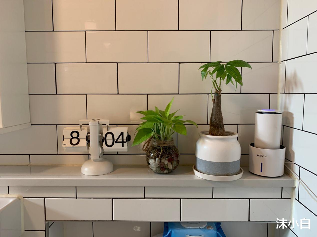 |晒出90后的6平小房，一开门都是鞋，卫生间颠倒常规！值得偷学