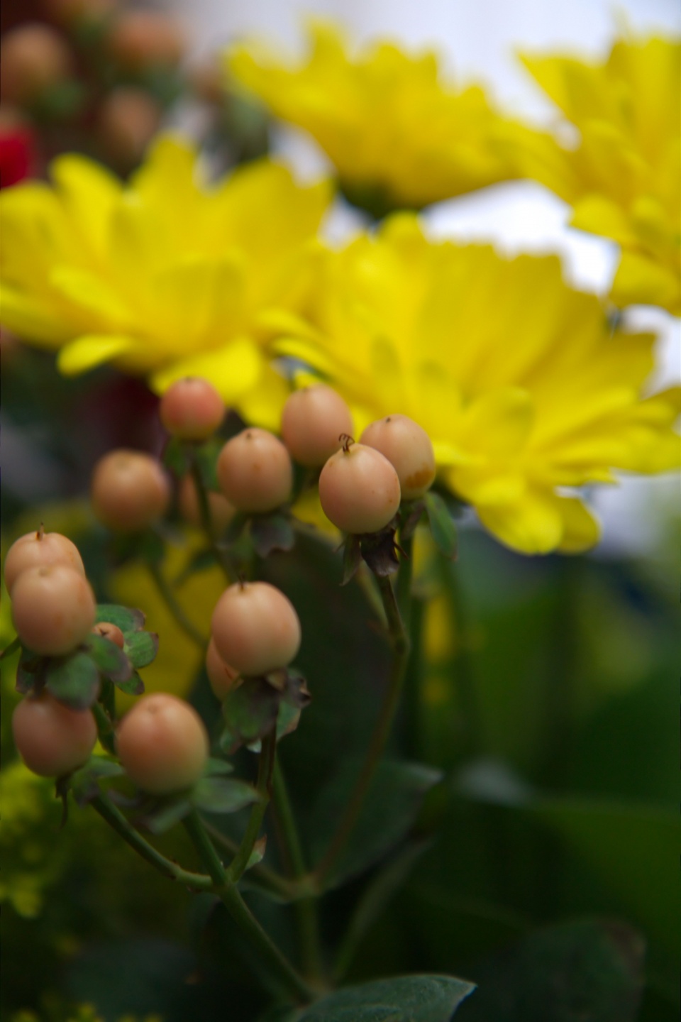 旧爱|在5天之后，真情难逃旧爱，旧爱回头，重新擦出火花的四大星座！