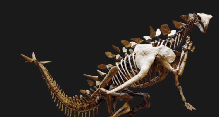 [小行星]恐龙灭绝的真相，小行星只是导火线，真正的元凶就在地球！