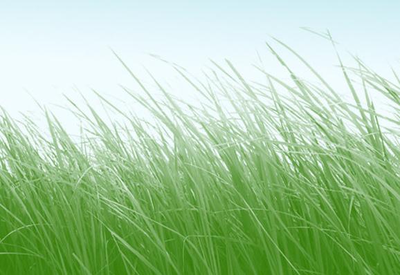 「白居易」白居易16岁时写的一首诗，选入小学教材，流传至今成了千古绝唱