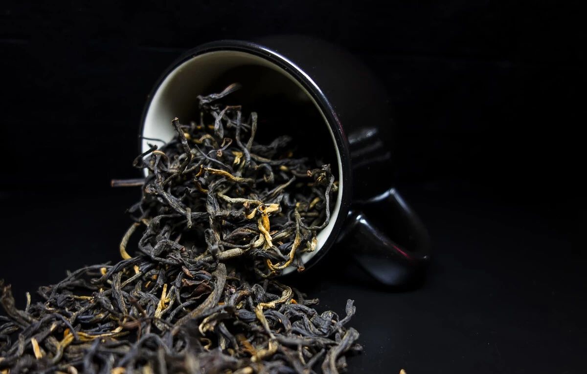 牛奶|英红九号被茶界认为是世界最好的红茶，你喝了吗？