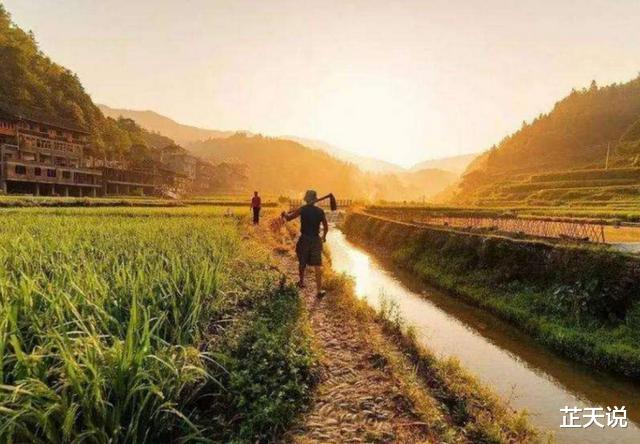 蜜蜂|古人训:“七月蜂、八月蛇、九月黄鳝惹不得”,老祖宗的话有理吗