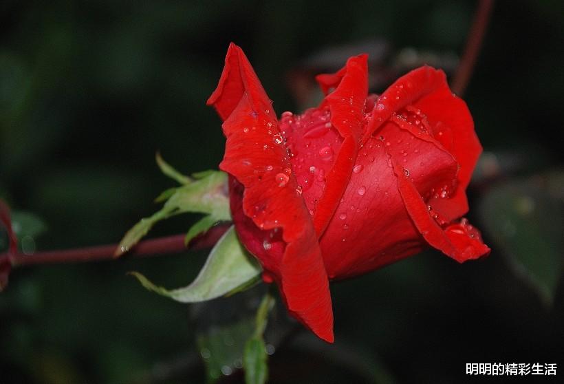 巨蟹座▲报喜报喜：7月2号3生肖运势柳暗花明，喜上眉梢，贵人多助有钱赚