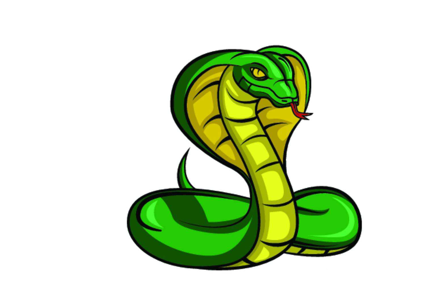 响尾蛇|蛇有哪些弱点?它们的寿命一般有多长?