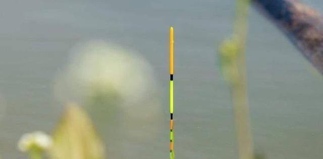 「」钓一天鱼，只为等待浮漂的下钝！浮漂这么调鱼儿吃钩更清晰