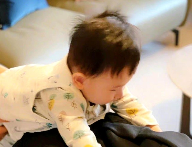 应采儿|应采儿晒俩儿子有爱互动，半岁hoho爬到哥哥身上，侧脸曝光了