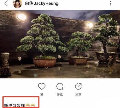 【向佐】恭喜!龙五一世英雄终于得偿所愿,向佐郭碧婷“三棵树”官宣得子